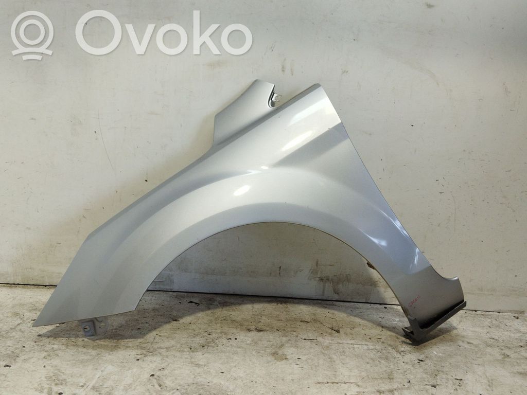 Ford Focus Fender 