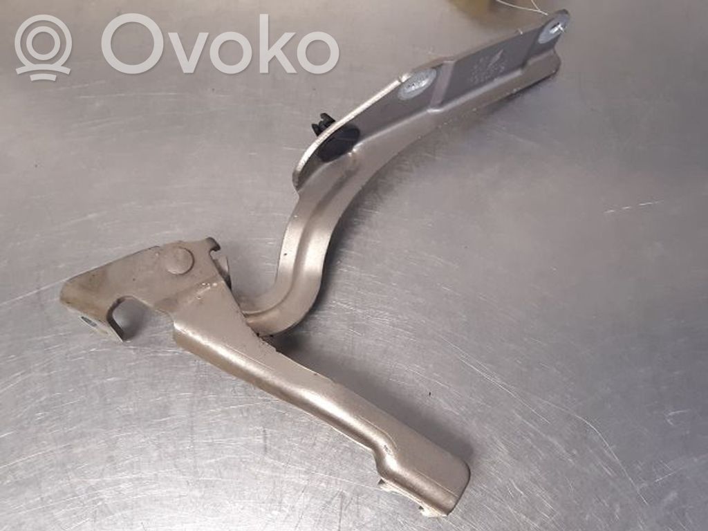 Citroen C3 Picasso Engine bonnet/hood hinges 