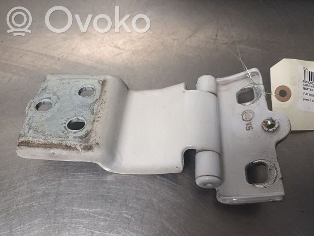 Loading door lower hinge   53385949