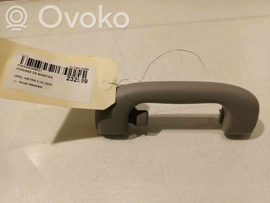 Opel Astra K Haltegriff vorne 