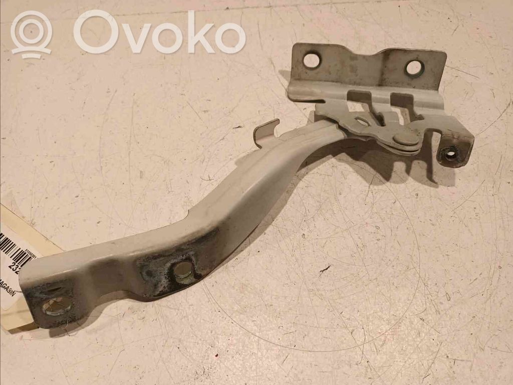 KIA Rio Dzinēja pārsega eņģe (-es) 