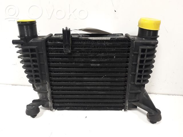 Intercooler radiator   131302014255