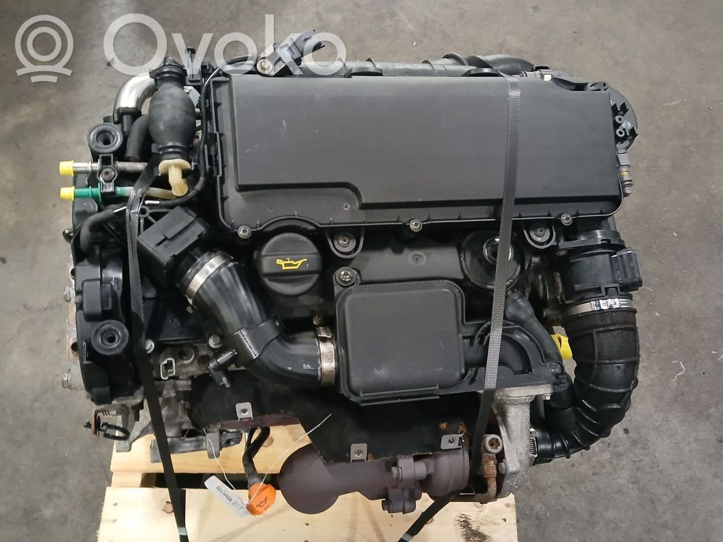 Moottori   0135FZ,8HZ