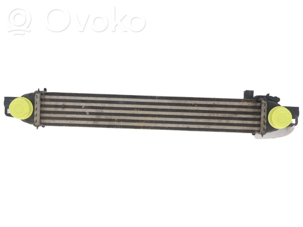 Citroen Nemo Intercooler radiator 