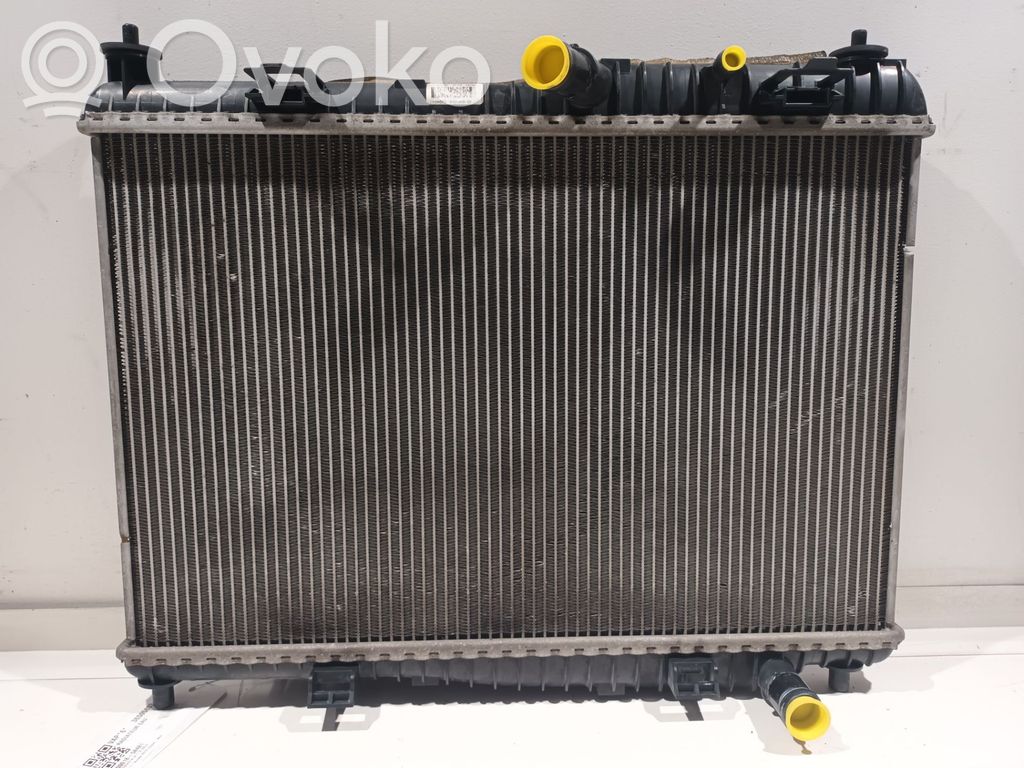 Ford Fiesta Radiator lichid răcire 