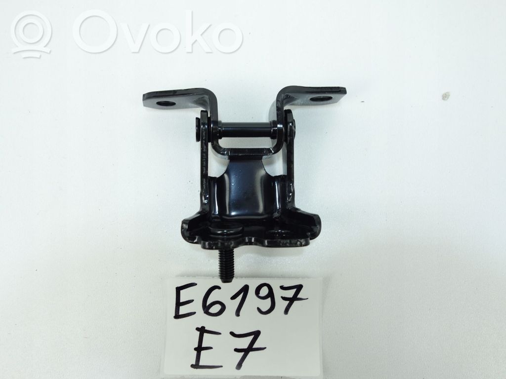 Oberes Scharnier Tür hinten   D09L73210