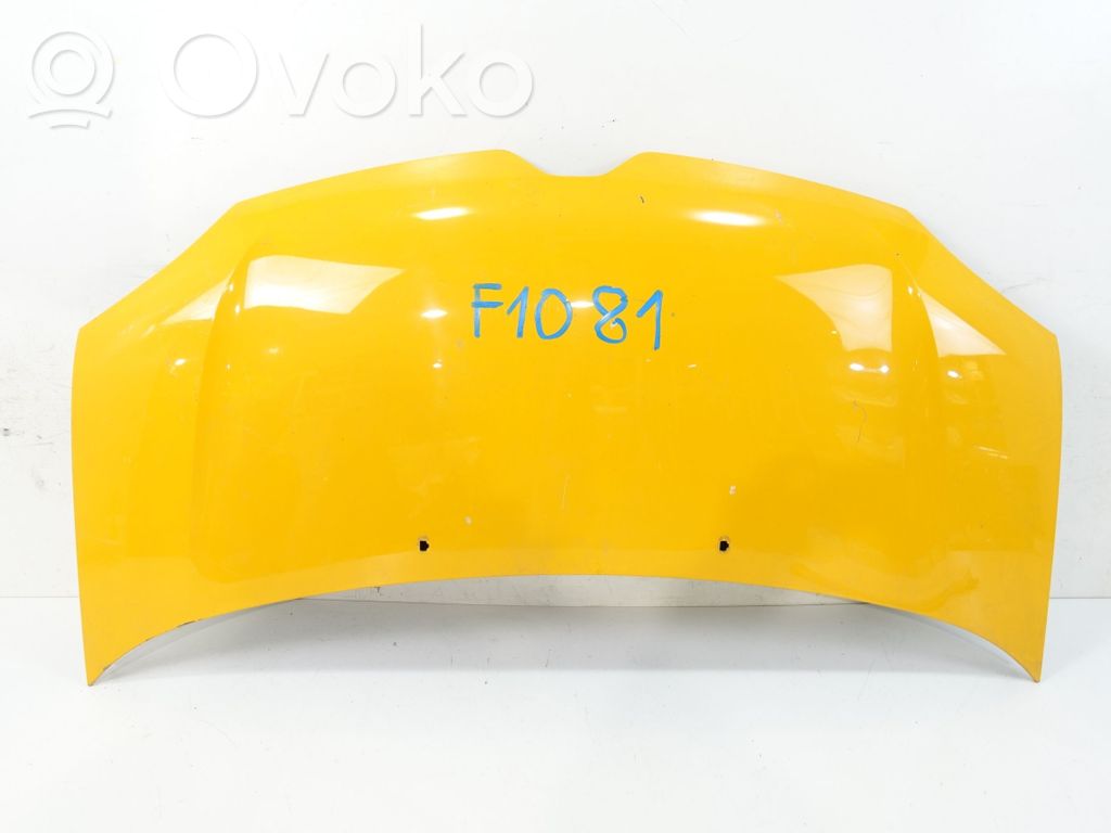Dzinēja pārsegs (vāks)   651006384R,651221590R