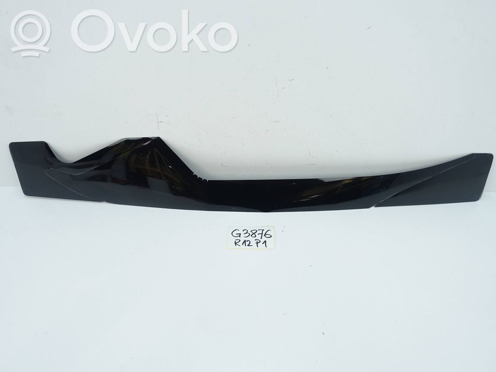 Front door trim (molding)   98052808XY