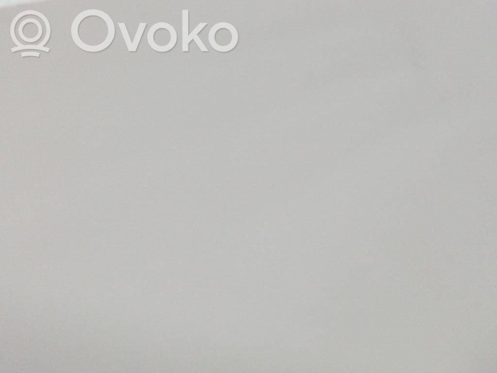 Fiat 500 Sun visor 
