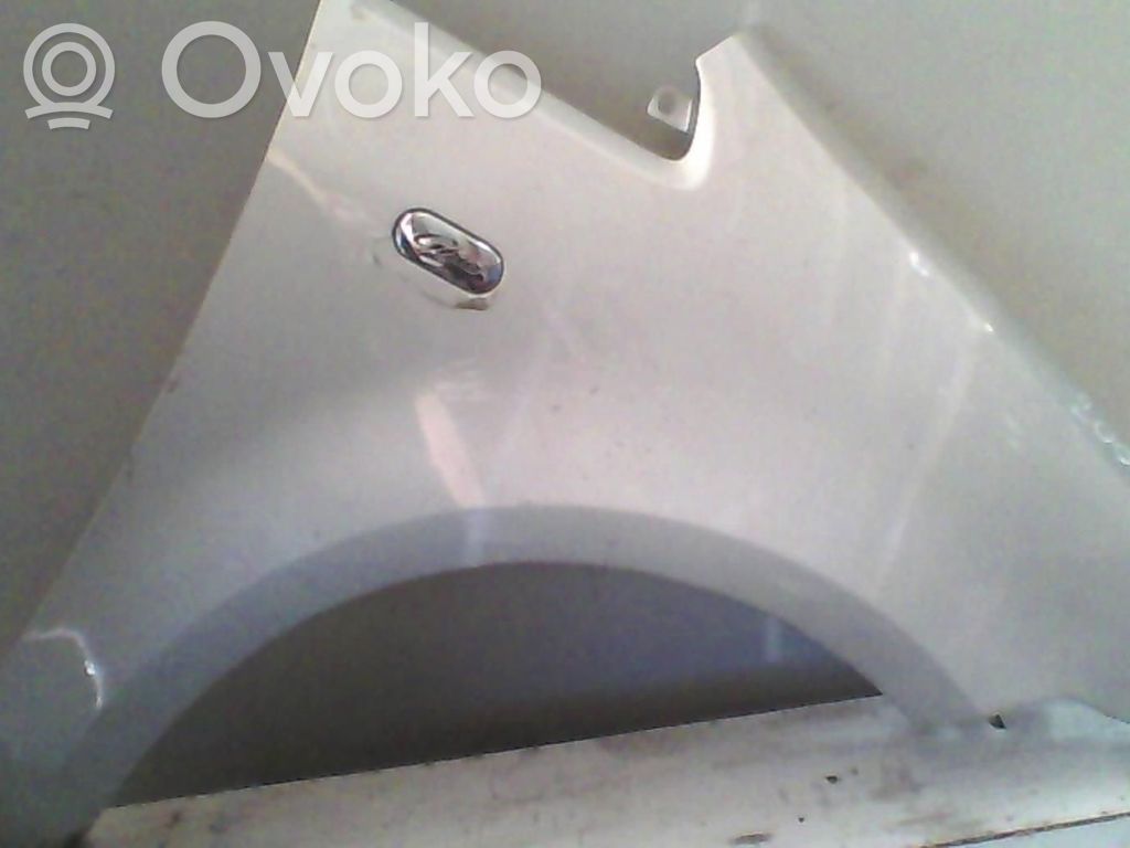 Ford C-MAX I Sparnas 