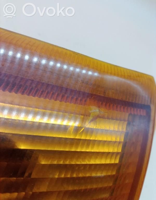 Front fender indicator light