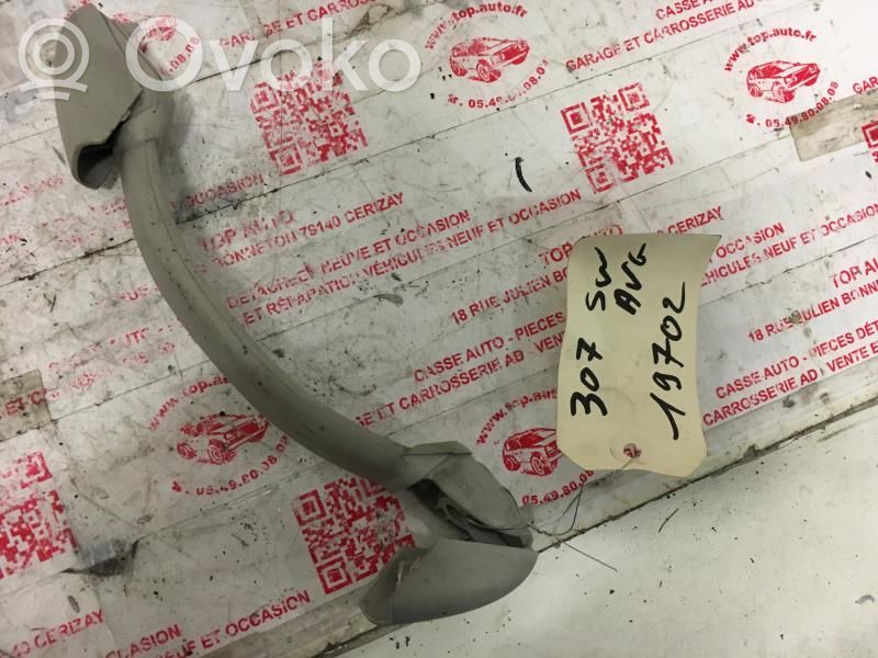 Peugeot 307 Front interior roof grab handle 