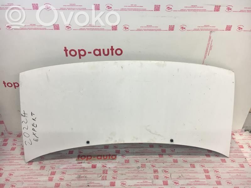 Peugeot Expert Engine bonnet/hood 