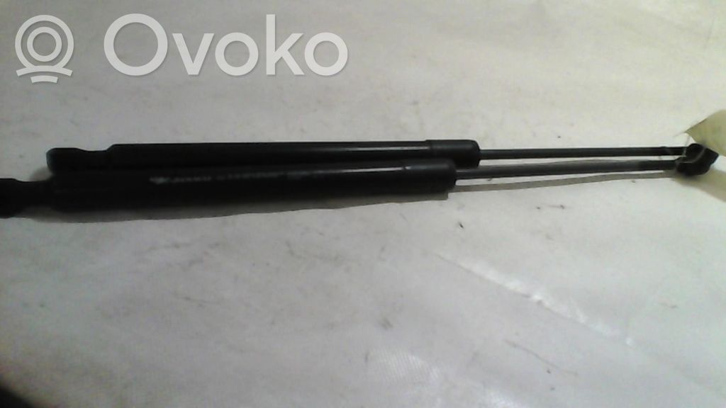 Renault Captur Tailgate/trunk strut/damper 
