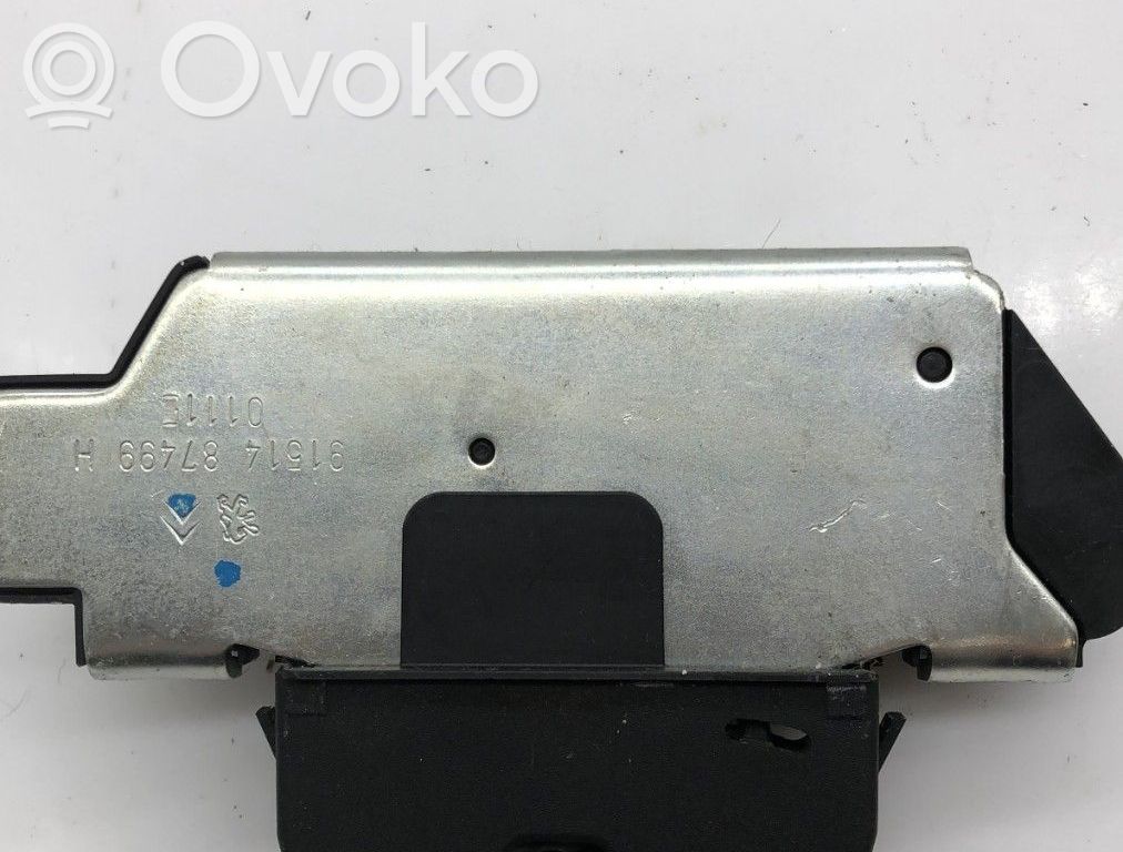 Tailgate/trunk/boot lock/catch/latch   8719F8