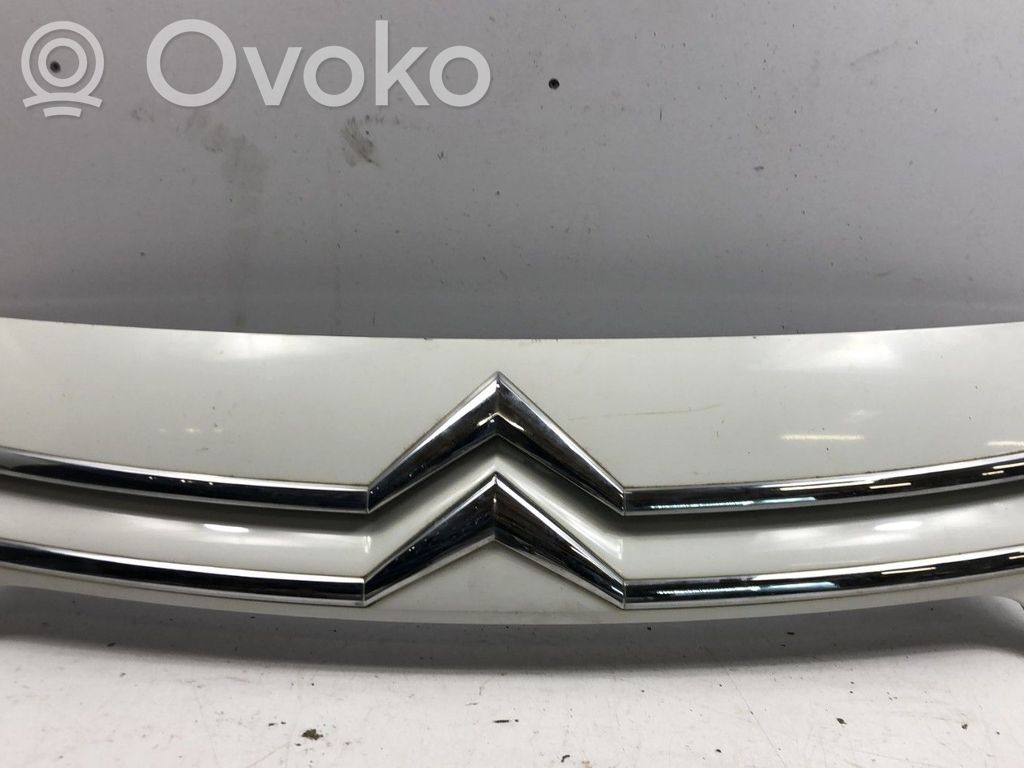 Citroen Jumpy Front grill 