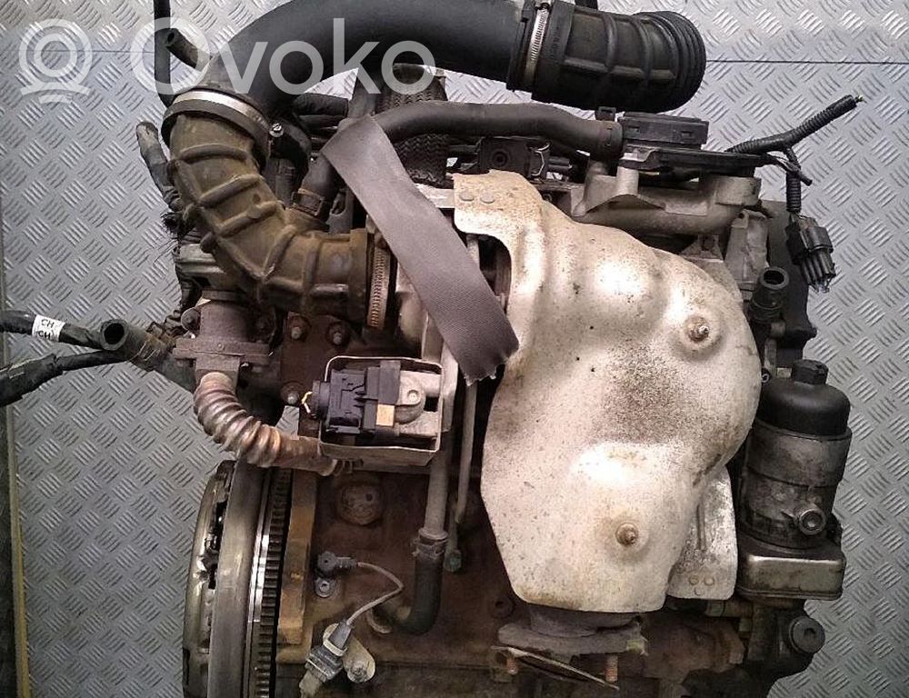 Motor   Z20DM