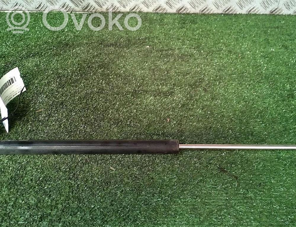 Tailgate/trunk strut/damper   C23562620E