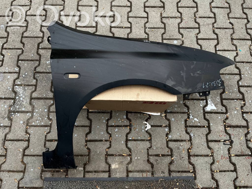 Guardabarro   51717860