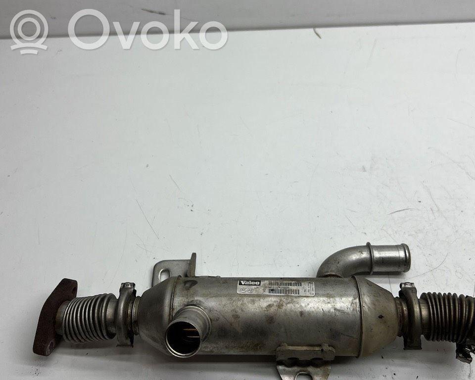 Citroen Xsara Răcitor supapă EGR 
