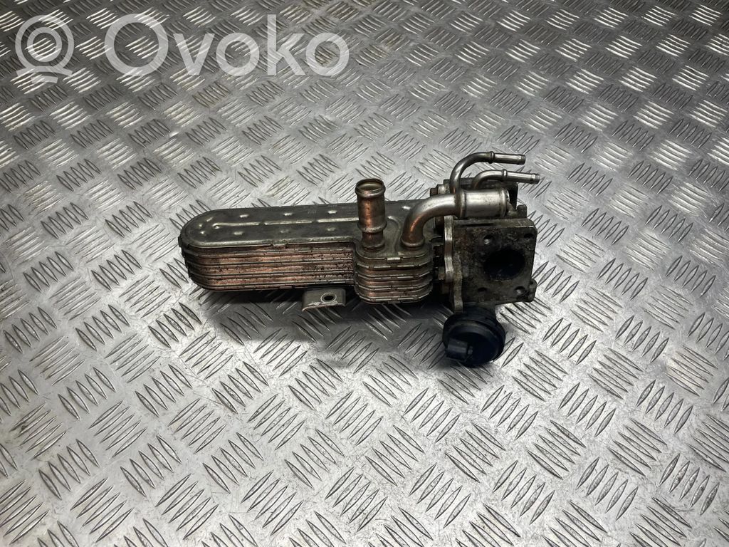 Volkswagen PASSAT B6 Refrigerador de la válvula EGR 