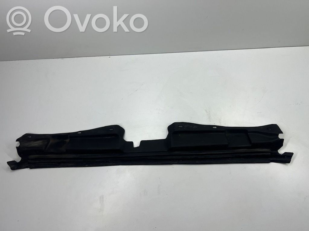 Chrysler Pacifica Kita išorės detalė 