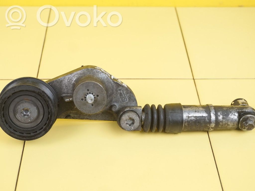 Ford S-MAX Paskirstymo diržo įtempėjas 