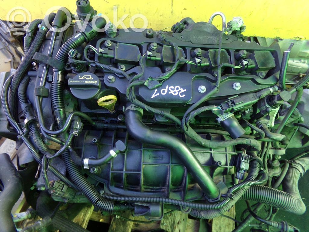 Ford Focus Turbo 