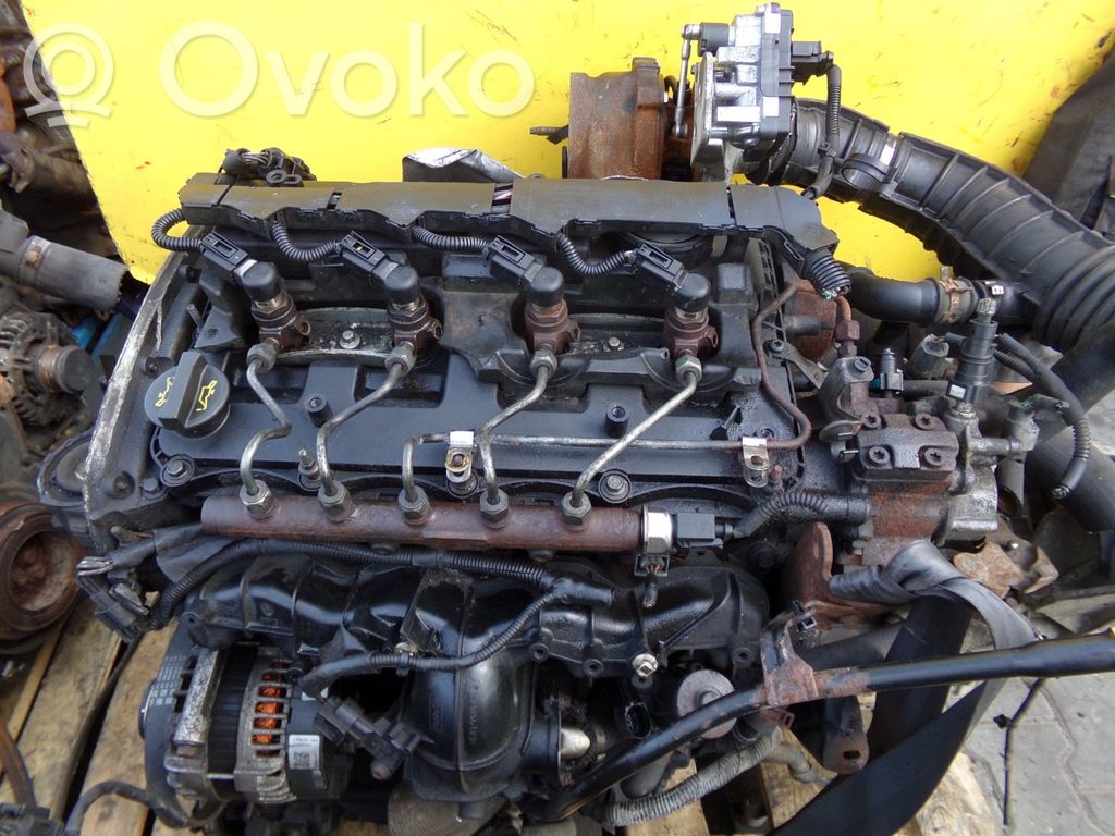Motor   DRRB,29SP28,DRFB