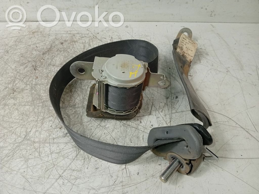 Cinturón trasero   535622401