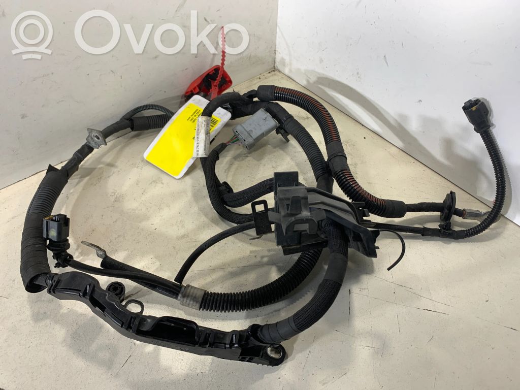 Citroen C4 Cactus Pliusinis laidas (akumuliatoriaus) 