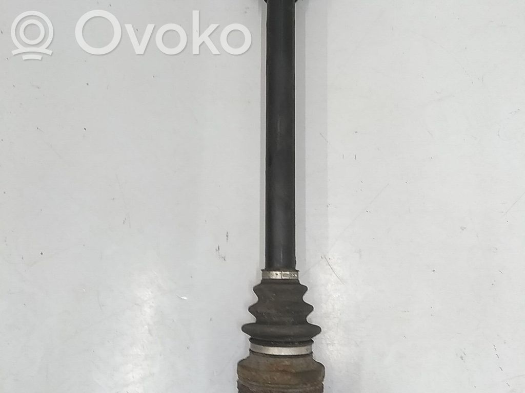 Galinis pusašis   33207524041