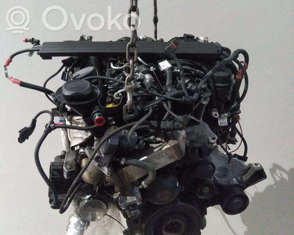Variklis   11002157056