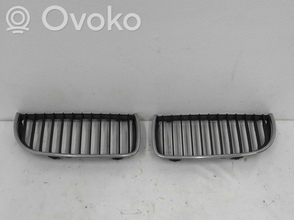 Front grill   51137120007B