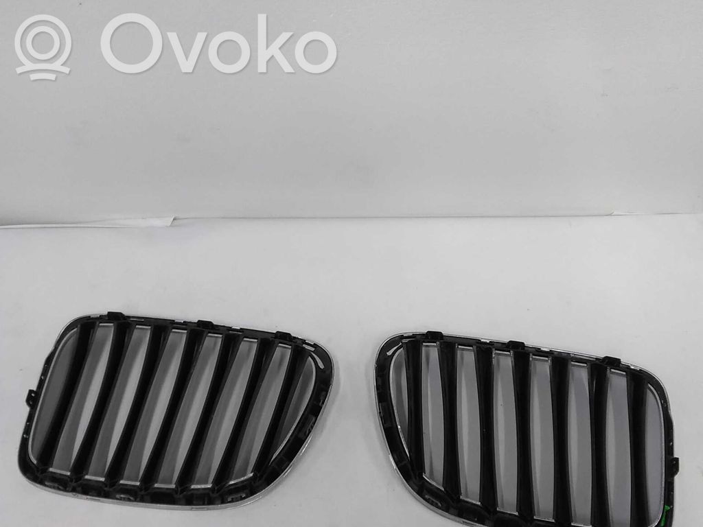 Front grill   51112993307