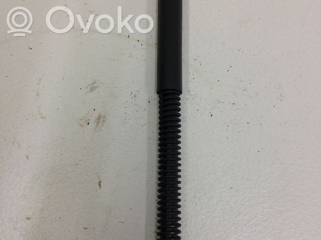 Tailgate/trunk strut/damper   51247201462