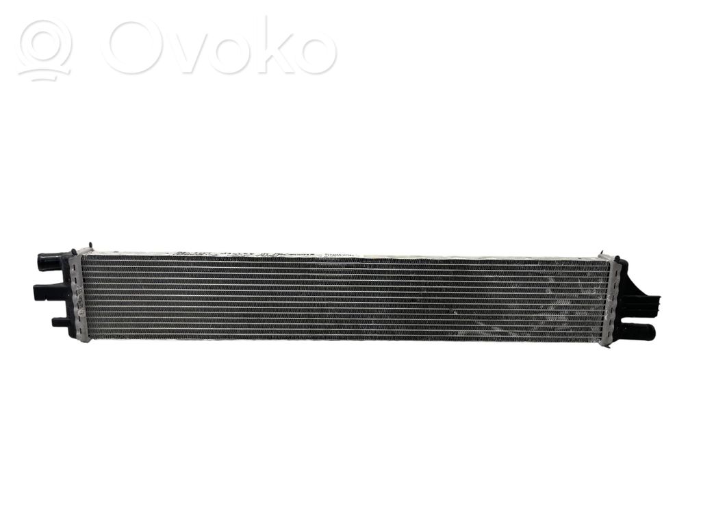 Renault Master III Coolant radiator 
