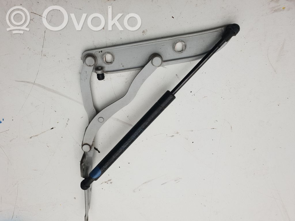 Tailgate/trunk/boot hinge   8220073,41628220073