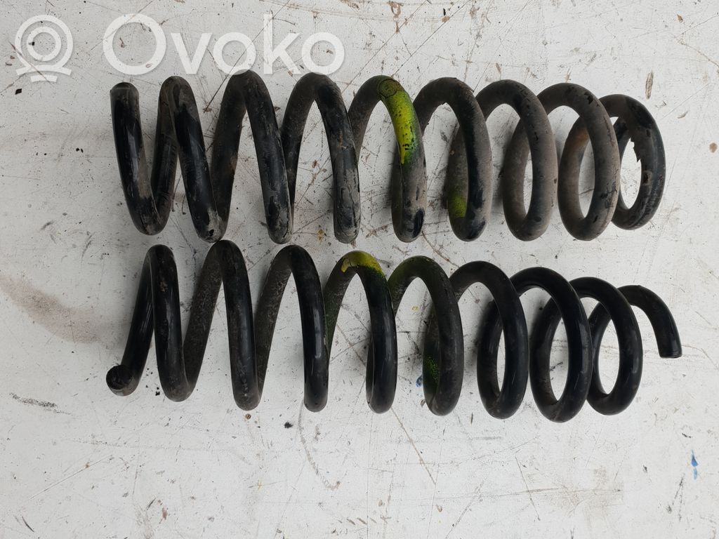Rear coil spring
