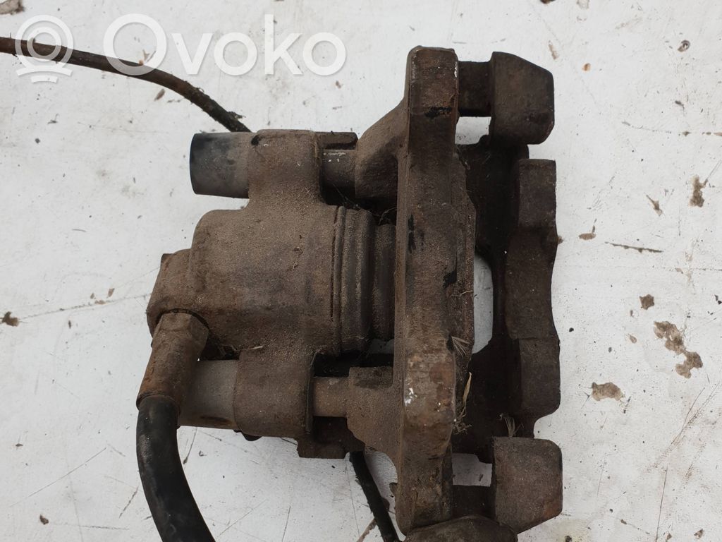 Takajarrusatula   1160382