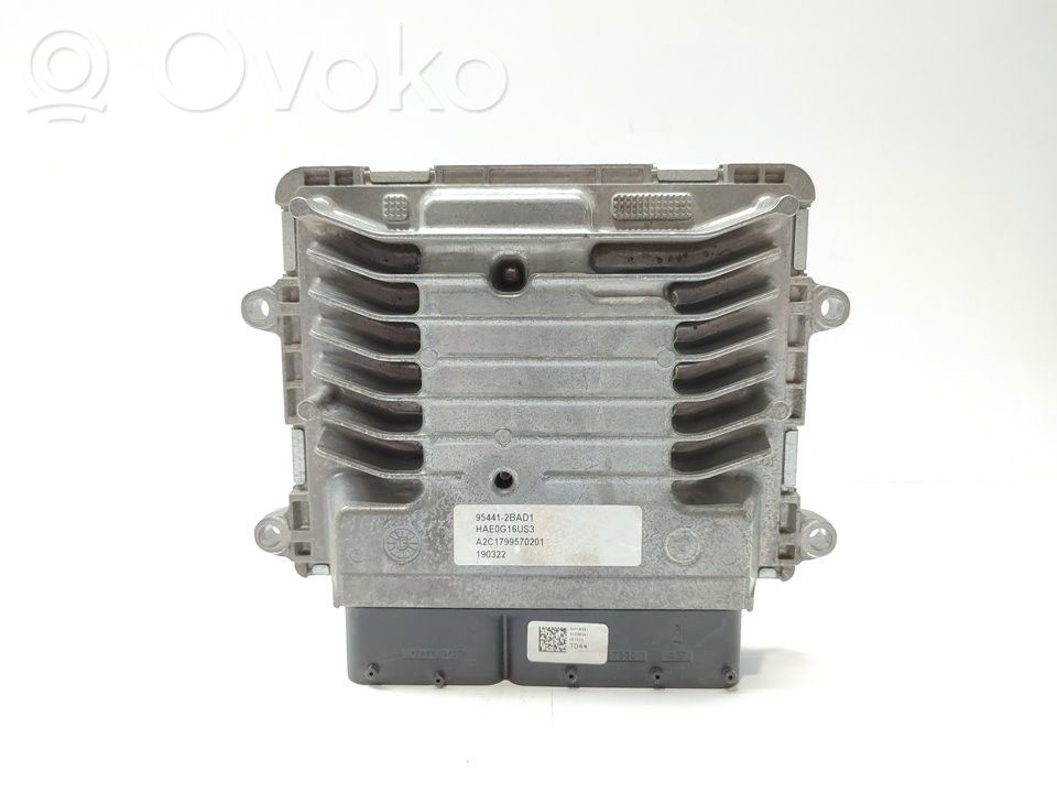Engine control unit/module   954412BAD1