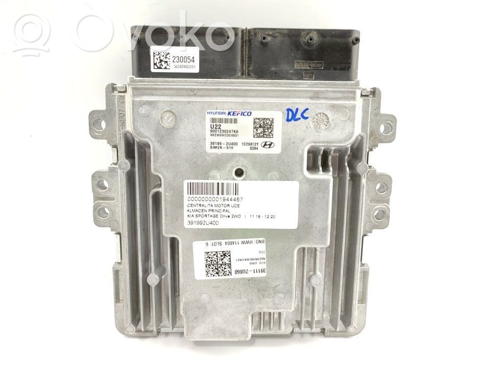 KIA Sportage Engine control unit/module 