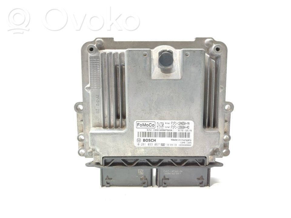 Ford Focus Engine control unit/module 