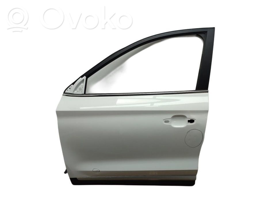 MG ZS Front door 