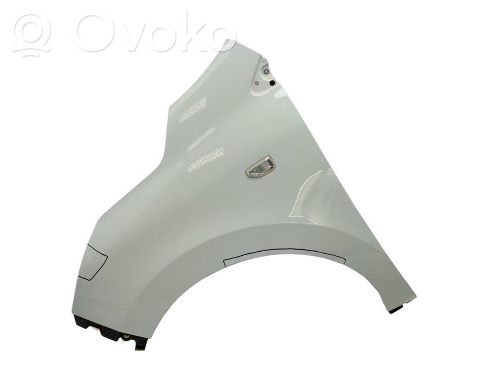 Renault Express Fender 