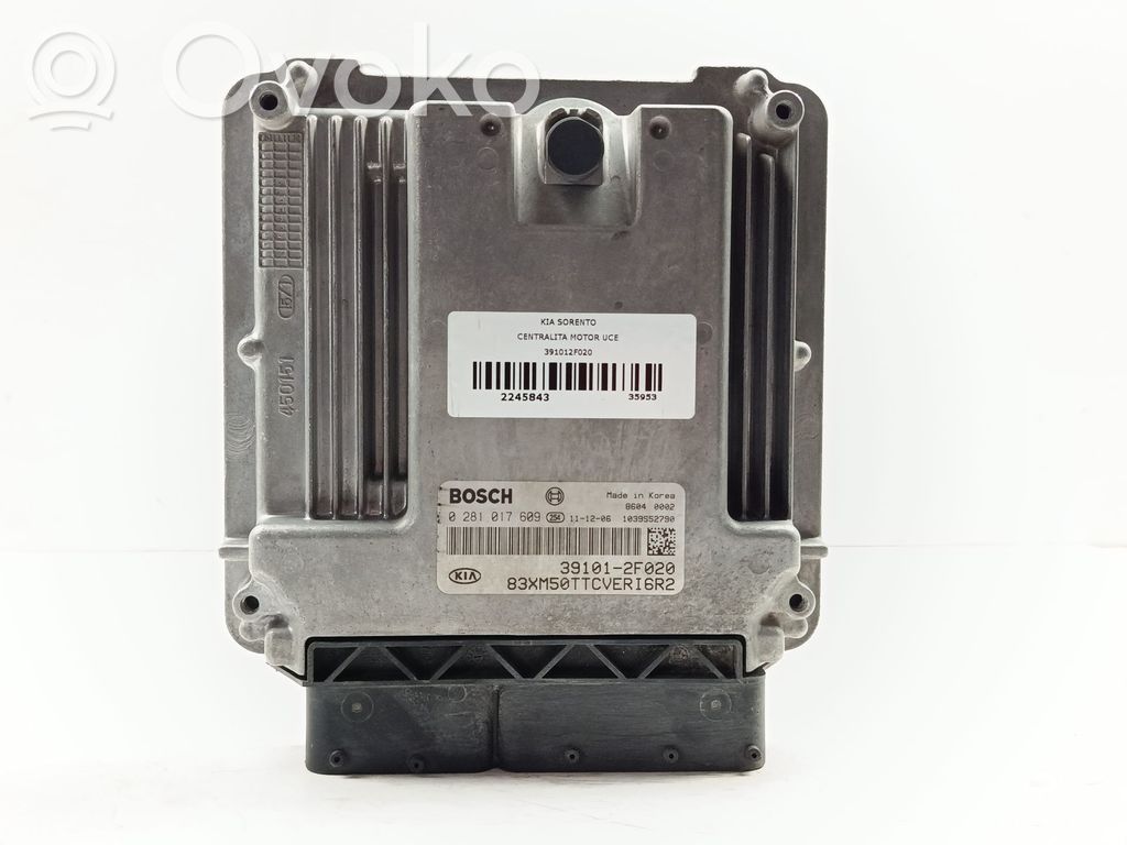 Engine control unit/module   391012F020,0281017609