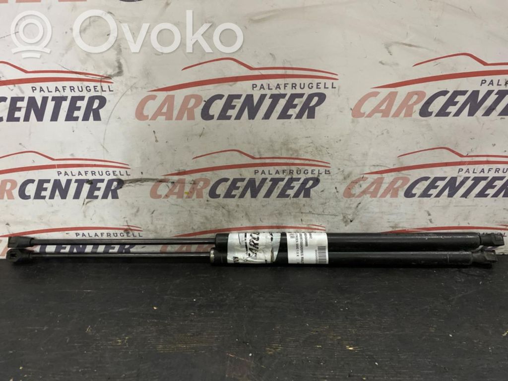 Tailgate/trunk strut/damper   9634949880
