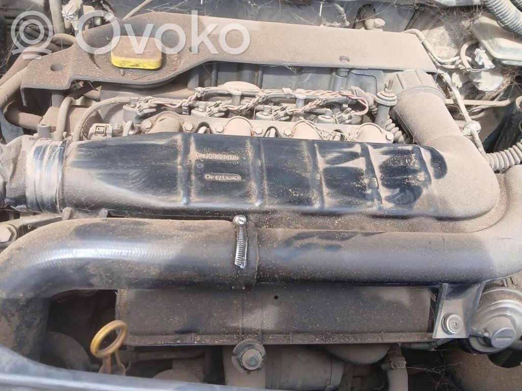 Motor   D204D3