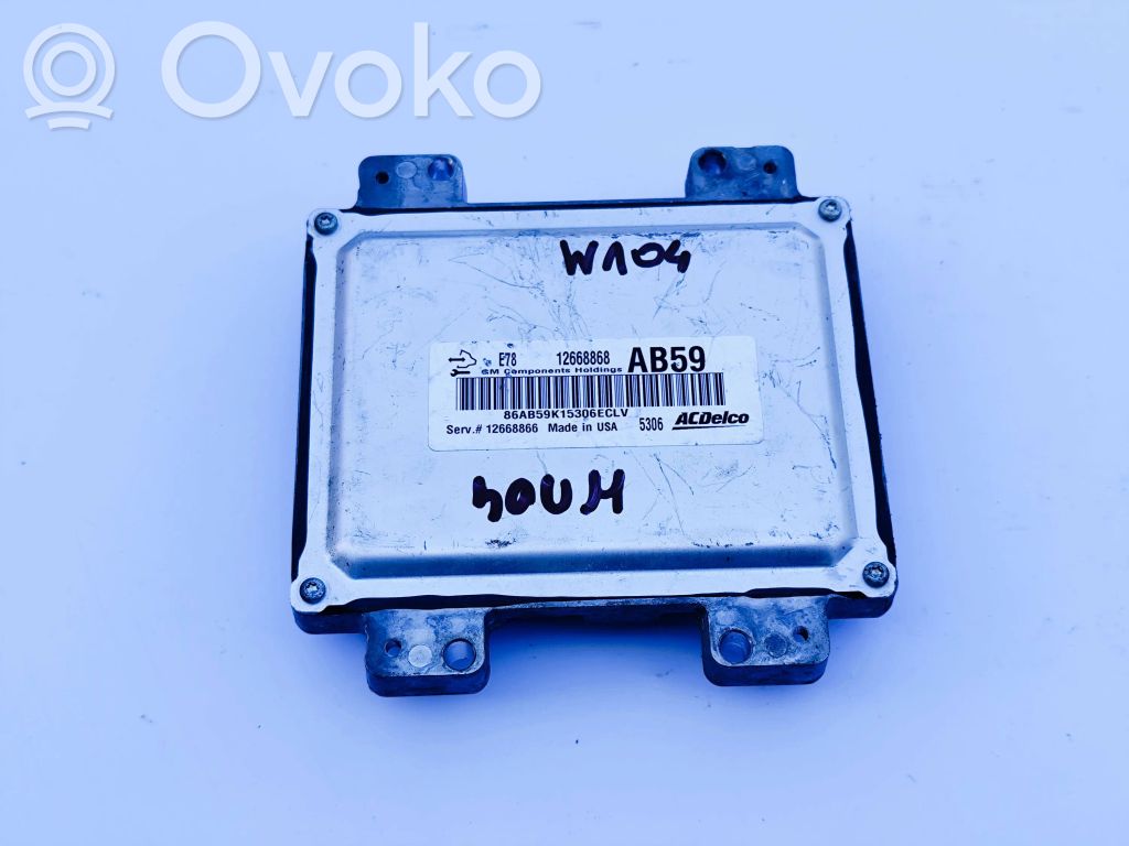 Engine control unit/module   12668868,12668866