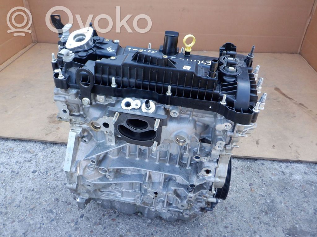 Ford Escape IV Variklis 